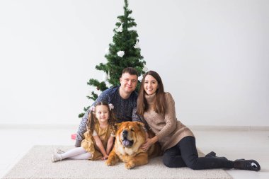 Evcil hayvan, tatil ve festival konsepti - Köpekli aile yılbaşı ağacının yanında oturuyor.