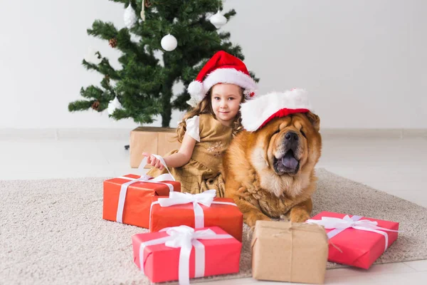 Kinder-und Haustier-Konzept - niedliches Mädchen mit Chow-Hund sitzt neben dem Weihnachtsbaum. Frohe Weihnachten und frohe Feiertage. — Stockfoto