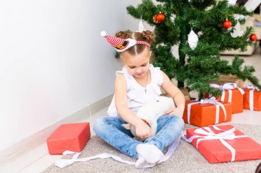 Noel, evcil hayvanlar ve tatil konsepti - Noel Baba şapkalı çocuk ve Jack Russell Terrier köpeği