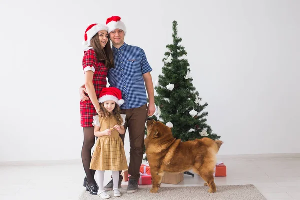 Huisdier, vakantie en feestelijk concept - Gezin met hond staan in de buurt van kerstboom. — Stockfoto