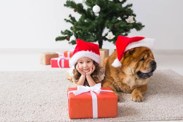 Kinder-und Haustier-Konzept - niedliches Mädchen mit Chow-Hund sitzt neben dem Weihnachtsbaum. Frohe Weihnachten und frohe Feiertage. — Stockfoto