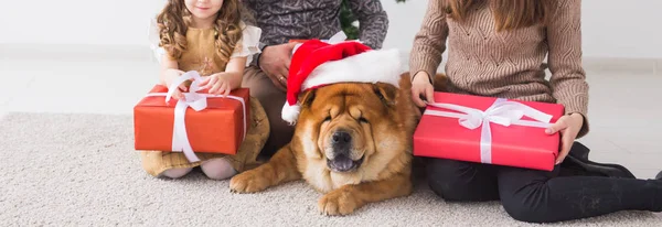 Mascotas, vacaciones y concepto festivo - Familia con perro están tumbados en el suelo cerca de árbol de Navidad primer plano — Foto de Stock