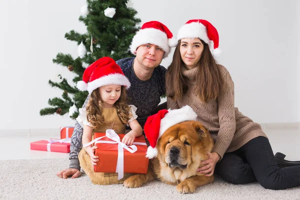 Pet, wakacje i świąteczne pojęcie - Rodzina z psem leżą na podłodze w pobliżu choinki. — Zdjęcie stockowe