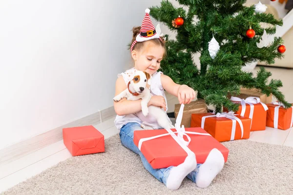 Vánoce, domácí mazlíčci a dovolená koncept - Dítě v santa klobouku s jack Russell teriér štěně — Stock fotografie