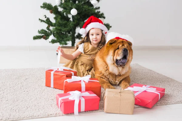 Dzieci i koncepcja zwierzaka - Cute girl z chow dog siedzi w pobliżu choinki. Wesołych Świąt i Wesołych Świąt. — Zdjęcie stockowe