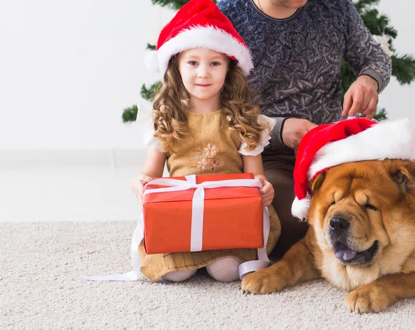 산타 모자를 쓰고 개를 데리고 있는 가족 이 바닥에 앉아 있다 — 스톡 사진