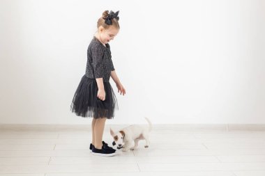 Evcil hayvan ve hayvan kavramı - Jack Russell Terrier köpekle oynayan kız çocuk.