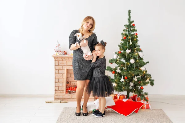 Urlaub und Haustier-Konzept - Mutter und Tochter spielen zu Hause mit Jack Russell Terrier-Hund vor dem Weihnachtsbaum — Stockfoto