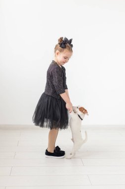 Evcil hayvan ve hayvan kavramı - Jack Russell Terrier köpekle oynayan kız çocuk.