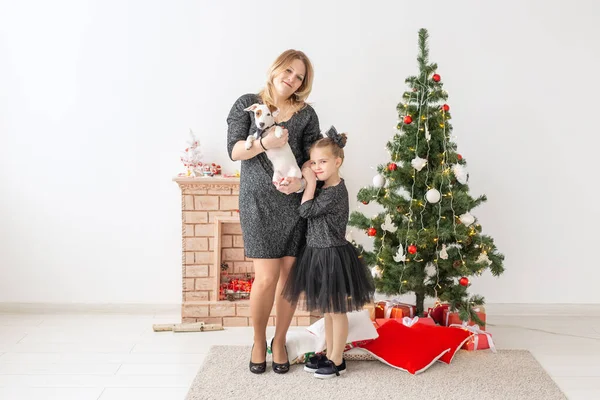 Urlaub und Haustier-Konzept - Mutter und Tochter spielen zu Hause mit Jack Russell Terrier-Hund vor dem Weihnachtsbaum — Stockfoto