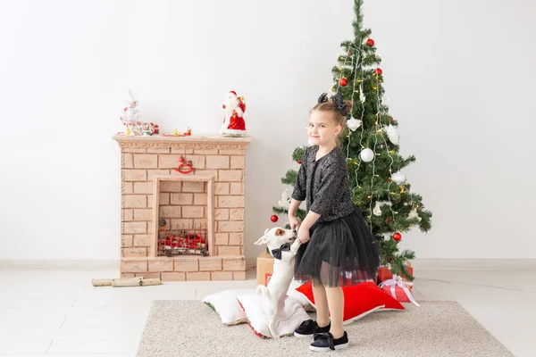 Zwierzęta domowe, wakacje i koncepcja Bożego Narodzenia - dziewczynka bawiąca się szczeniakiem Jack Russell Terrier w pobliżu choinki — Zdjęcie stockowe