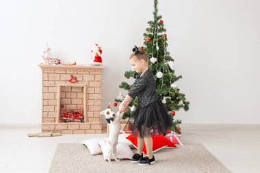 Evcil hayvanlar, tatiller ve Noel konsepti - Noel ağacının yanında yavru köpek Jack Russell Terrier ile oynayan kız çocuğu