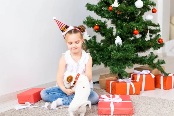 Christmas, pets and holidays concept - Child in santa hat with a jack russell terrier puppy