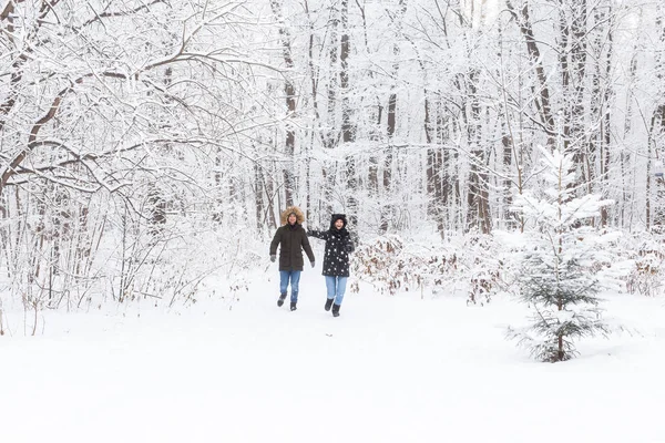 Um casal jovem e bonito está se divertindo no parque nevado, correndo e de mãos dadas. Conceito do Dia dos Namorados. Temporada de Inverno. — Fotografia de Stock