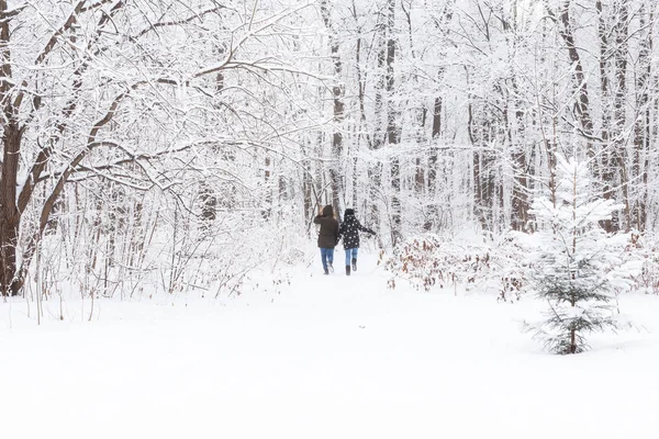 Egy fiatal és gyönyörű pár szórakozik a havas parkban, futnak és fogják egymás kezét. Valentin-napi koncepció. Téli szezon. — Stock Fotó