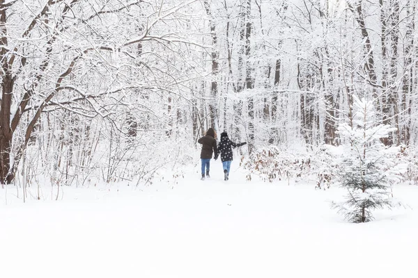 Joyeux couple marchant dans une forêt enneigée en hiver — Photo