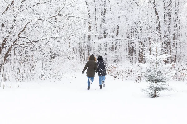 Joyeux couple marchant dans une forêt enneigée en hiver — Photo