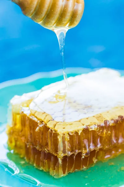 Мед с сотами из меда и медом — стоковое фото