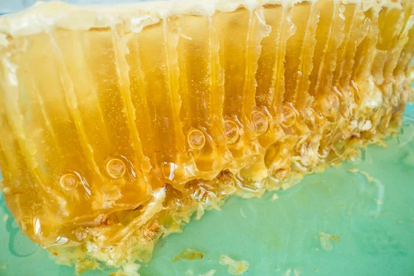 Мед с сотами на тарелке, крупным планом — стоковое фото