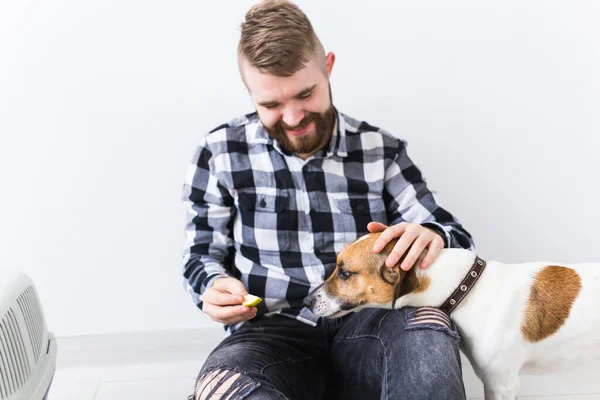 Hundetragetaschen und Haustierhalter-Konzept - Attraktiver, fröhlicher Rüde im karierten Hemd hält Lieblingstier. Glücklicher bärtiger Mann mit seinem Jack Russell Terrier — Stockfoto