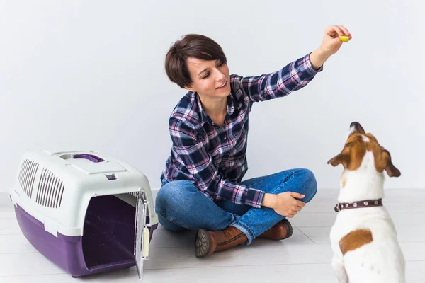 Bolsas de transporte para perros y mascotas concepto de propietario Atractiva hembra alegre en camisa a cuadros tiene mascota favorita. Mujer feliz con su jack russell terrier — Foto de Stock