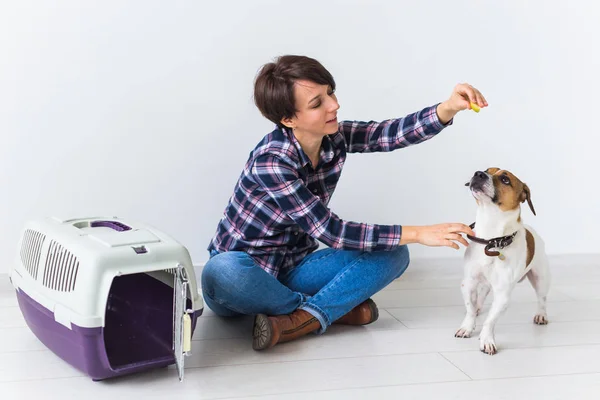 Bolsas de transporte para perros y mascotas concepto de propietario Atractiva hembra alegre en camisa a cuadros tiene mascota favorita. Mujer feliz con su jack russell terrier — Foto de Stock