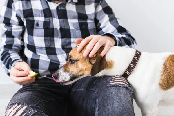 Concept de propriétaire d'animaux de compagnie - Homme joyeux attrayant en chemise à carreaux détient animal préféré. Heureux homme barbu avec son Jack Russell Terrier — Photo