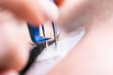 Kirpik uzatma prosedürü. Uzun kirpikli kadın gözü. Kırbaçlar, kapatın, makro, seçici odaklanma.