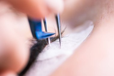 Kirpik uzatma prosedürü. Uzun kirpikli kadın gözü. Kırbaçlar, kapatın, makro, seçici odaklanma.