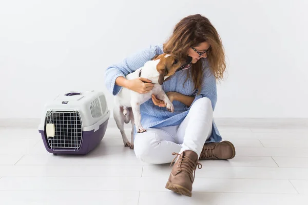 Perro llevando bolsas y mascotas concepto de propietario Atractiva hembra alegre en suéter azul jugando con su mascota favorita. Mujer feliz con su jack russell terrier — Foto de Stock