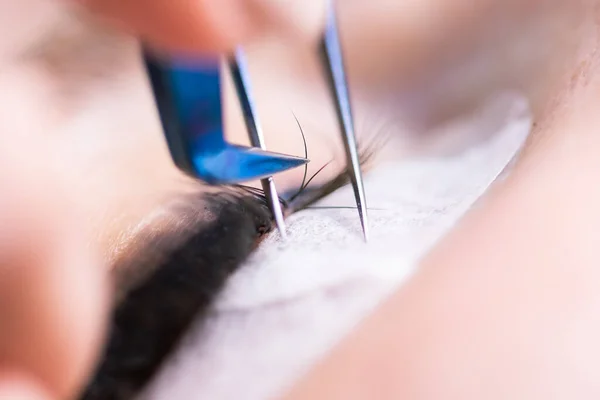 Procédure d'extension des cils. Œil de femme avec de longs cils. cils, gros plan, macro, mise au point sélective. — Photo