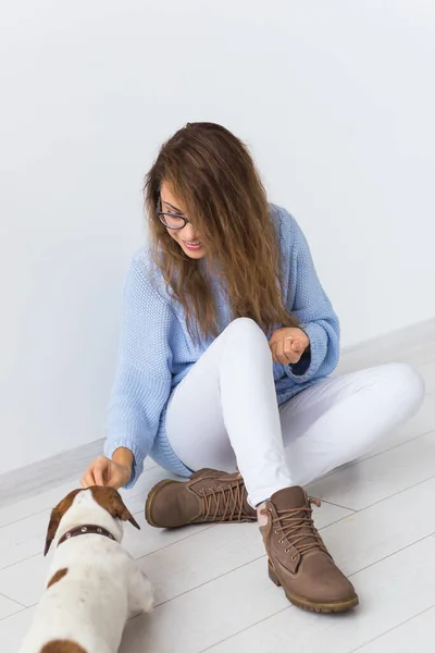 애완 동물 주인 컨셉 - 파란 스웨터를 입고 좋아 하는 애완 동물 과노는 매력적 인 쾌활 한 암컷. 잭 러셀 테리어와 행복 한 여인 — 스톡 사진