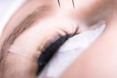 Kirpik uzatma prosedürü. Uzun kirpikli kadın gözü. Kırbaçlar, kapatın, makro, seçici odaklanma.