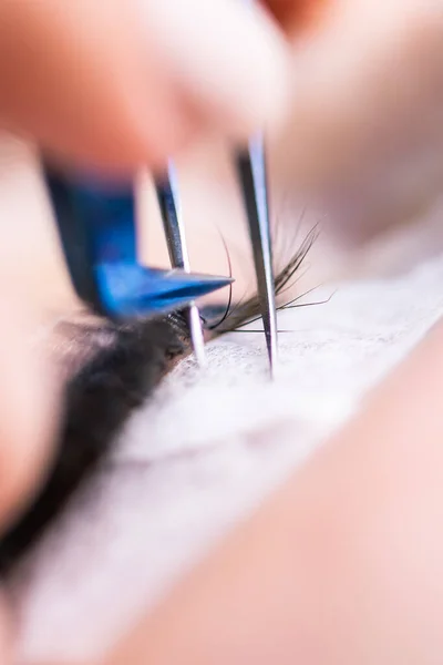 Verlengingsprocedure voor wimpers. Vrouw oog met lange wimpers. Huiduitslag, close-up, macro, selectieve focus. — Stockfoto