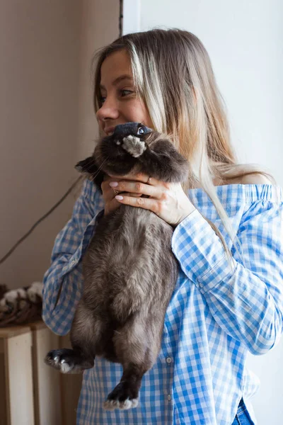 애완 동물 과 부활절 개념 - 집에서 갈색 토끼를 껴안고 싶어 하는 매력적 인 소녀. — 스톡 사진