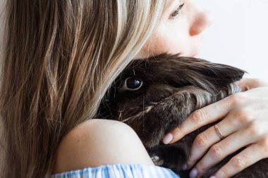 Evcil hayvan ve Paskalya konsepti - Çekici kız evde kahverengi tavşanı kucaklıyor, yakın plan..