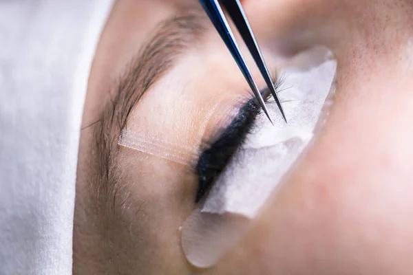 Procedimiento de extensión de pestañas. Ojo de mujer con pestañas largas. pestañas, primer plano, macro, enfoque selectivo. —  Fotos de Stock