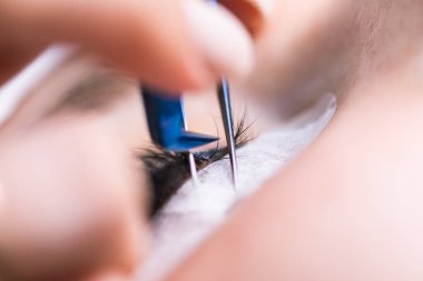 Kirpik uzatma prosedürü. Uzun kirpikli kadın gözü. Kırbaçlar, kapatın, makro, seçici odaklanma.