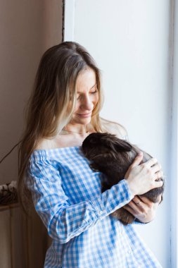 Evcil hayvan ve Paskalya konsepti - Mutlu kız evde kahverengi tavşana sarılıyor.