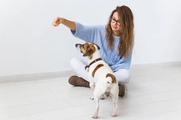 Concepto de propietario de mascotas Atractiva hembra alegre en suéter azul jugando con su mascota favorita. Mujer feliz con su jack russell terrier — Foto de Stock