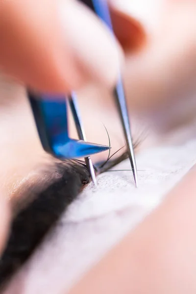 Procédure d'extension des cils. Œil de femme avec de longs cils. cils, gros plan, macro, mise au point sélective. — Photo