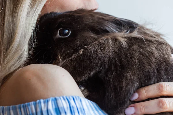 Pet and Easter concept - Attractive girl hugging brown rabbit at home, close-up. — Stock Photo, Image