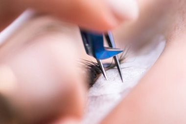 Kirpik uzatma prosedürü. Uzun kirpikli kadın gözü. Kırbaçlar, kapatın, makro, seçici odaklanma.