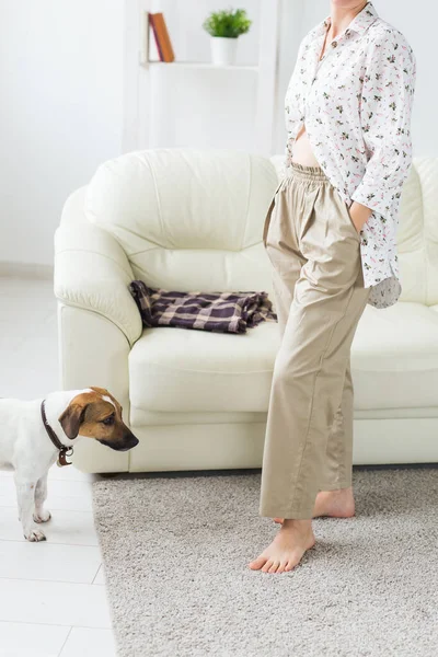 Femme vêtue d'une chemise confortable à la maison relaxante à la maison et jouant avec le chien Jack Russell terrier, gros plan Concept du matin . — Photo