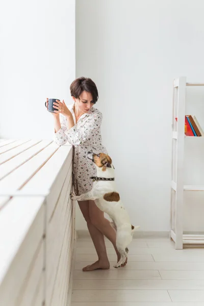 Femme portant une chemise confortable à la maison se détendre à la maison et jouer avec le chien Jack Russell terrier, boire du thé. Concept du matin . — Photo