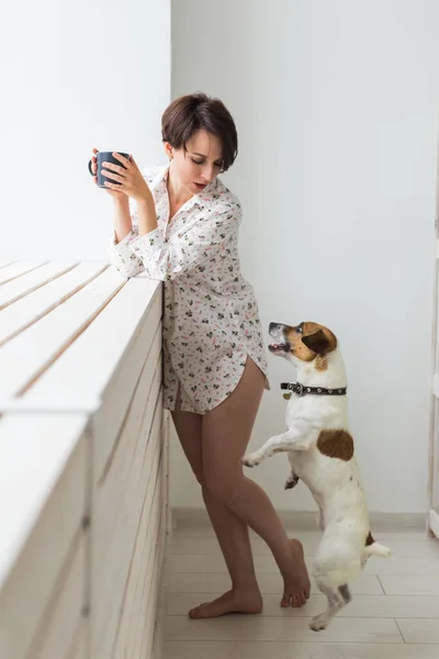 Kvinna bär mysig hemskjorta koppla av hemma och leka med hund jack Russell terrier, dricka te. Morgonkoncept. — Stockfoto