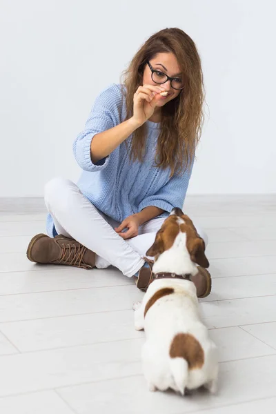 애완 동물 주인 컨셉 - 파란 스웨터를 입고 좋아 하는 애완 동물 과노는 매력적 인 쾌활 한 암컷. 잭 러셀 테리어와 행복 한 여인 — 스톡 사진