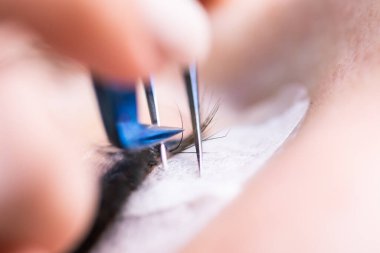 Kirpik uzatma prosedürü. Uzun kirpikli kadın gözü. Kırbaçlar, kapatın, makro, seçici odaklanma.