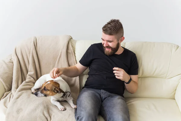 Homem caucasiano alegre atraente em t-shirt casual sentado no sofá favorito animal de estimação. Homem barbudo feliz com o seu Jack Russell Terrier. Conceito de proprietário de animais . — Fotografia de Stock