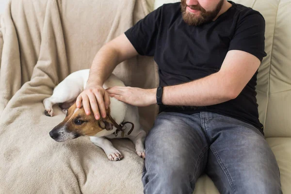 Großaufnahme eines Mannes in lässigem T-Shirt, der auf seinem Lieblingstier auf der Couch sitzt. Glücklicher bärtiger Mann mit seinem Jack Russell Terrier. Haustierbesitzer-Konzept. — Stockfoto